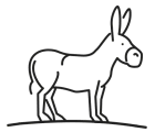 gray donkey