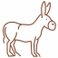 little donkey