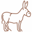 donkey