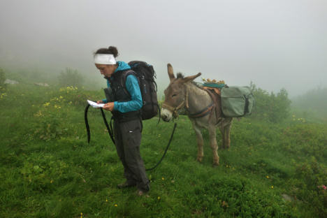 Nebbia Italie