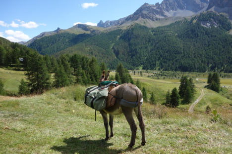 Fonds de Cervières
