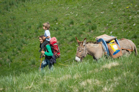 Marie climbs in the pastures