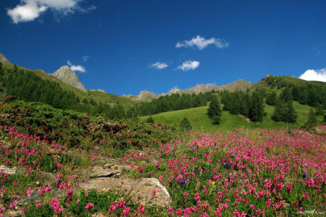 Bottom of the Bouchet valley