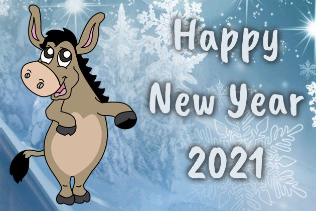 Bonne année 2021