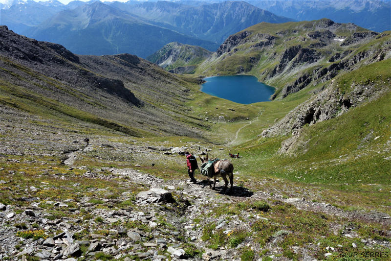 Accompanied hiking