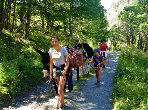 Randonnée dans les alpages du vallon St Martin - 1 jour