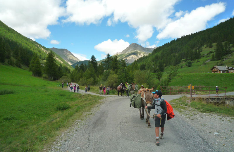 enfants et ânes en balade