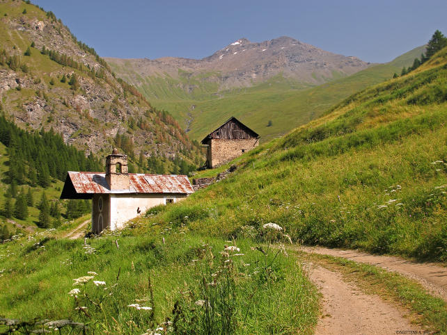 Walk in the pastures of Vallon St Martin