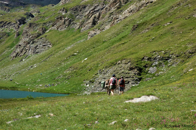 Donkey - Egorgéou lake