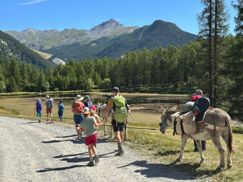 Between Guil valley and Aigues valley, through St Véran - 6 days