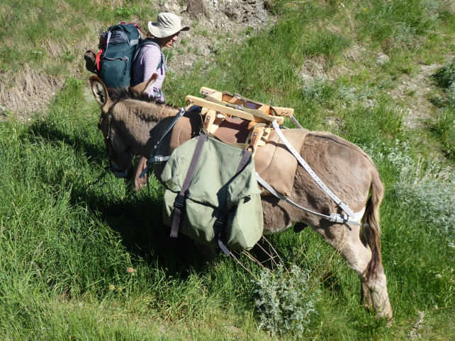 Hiking in freedom with donkey