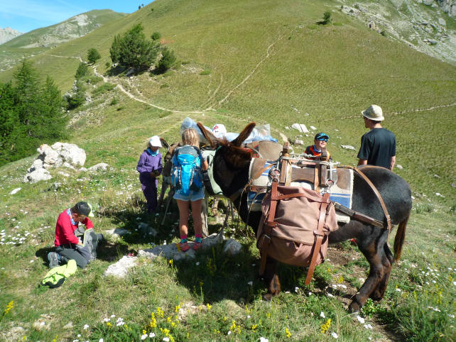 Hiking donkey Furfande